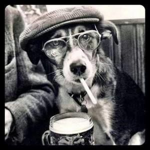 Meet your Posher, David